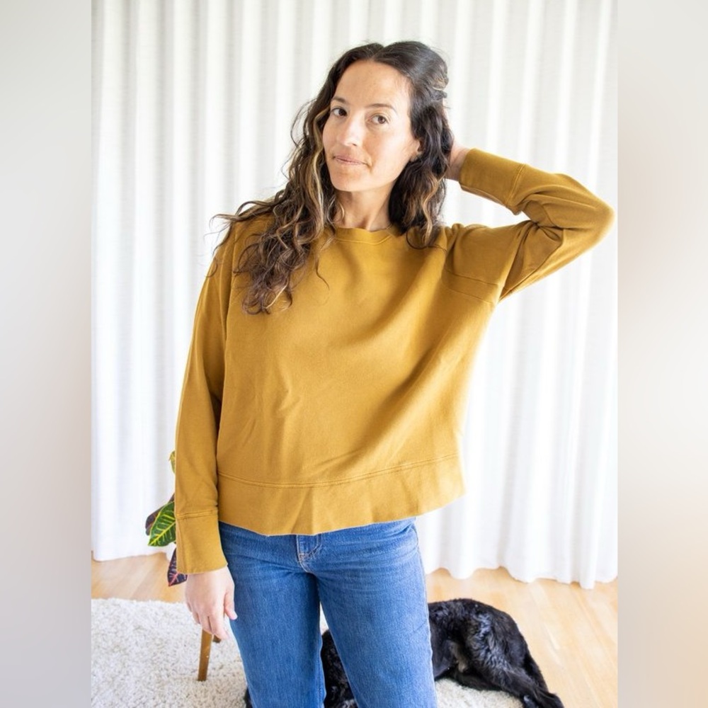 Alex Mill Raglan Sweatshirt- Hickory size small